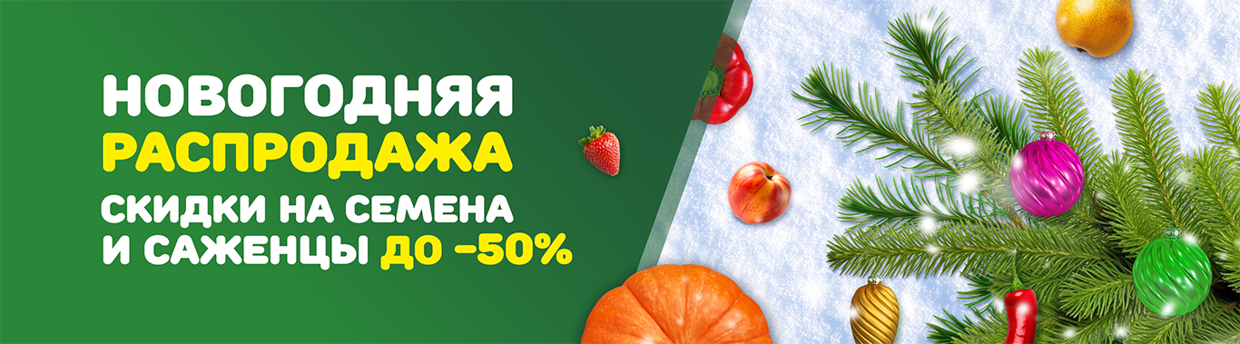 Новогодняя распродажа 2025