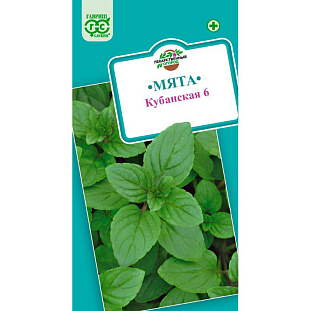Семена Мята перечная Кубанская 6