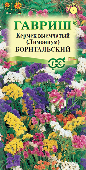 Семена Кермек (Лимониум) выемчатый Борнтальский, смесь