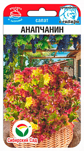 Семена Салат Анапчанин