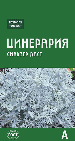 Цинерария приморская Сильвер даст

Прекрасное декоративно-лиственное растение с розеткой перисто-раздельных серебристо-пепельных листьев. Декоративность поддерживают прищипыванием точки роста, за счет чего розетка становится более плотной и объемной. Цветения лучше не допускать, производя с воевременную обрезку бутонов. Красиво смотрится в орнаментальных бордюрах, на клумбах и рабатках в сочетании с темнолистными и ярко цветущими растениями.