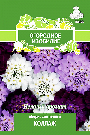 Семена Иберис зонтичный Коллаж.
Отличный медонос, нежный аромат. Ветвистое растение раскидистой формы, высотой 25-40 см. Душистые цветки собраны в плотные соцветия до 5 см диаметром различной окраски. Цветет с июня в течение двух месяцев. Используют для сборных цветников, рабаток и бордюров.
Посев: май
Глубина посева: 0.5 см
Время цветения: июнь-август
Схема посадки: 20х25 см