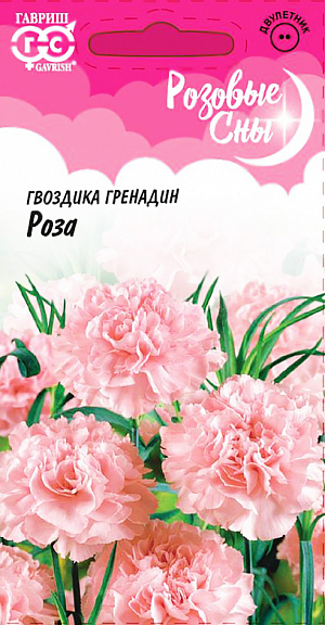 Семена Гвоздика садовая Гренадин Роза. Популярное двулетнее травянистое растение для любительских цветников, формирует хорошо развитые кустики 50-60 см высотой. Стебли прямые, тонкие, коленчатые, облиственные. Листья узколинейные, прикорневые собраны в основании куста в розетку. Листья и стебли покрыты серебристо-сизым налетом. Цветки розовые, махровые, до 5 см в диаметре, расположены на концах побегов, с тонким ароматом. Цветет обильно на второй год после посева с июля по август. Неприхотлива, холодостойка, предпочитает солнечные участки с легкой, плодородной, некислой почвой.<br>
 <br>
&nbsp;Посев проводят в конце мая – начале июня на рассадочные гряды в парник на глубину 0,5-1 см. Сеянцы в фазе 2-3 настоящих листьев продергивают или пикируют на расстояние 10 см между растениями. В августе рассаду высаживают на постоянное место на расстоянии 20-30 см. В первый год растение формирует розетку листьев. На зиму молодые растения желательно укрыть лапником. Используют для всех видов цветников и качественной срезки, в воде гвоздика долго сохраняет декоративность.