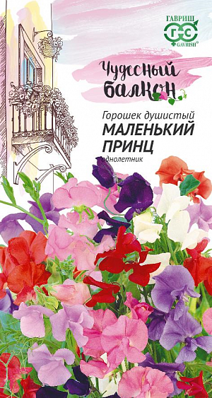 Семена Душистый горошек Маленький принц<br>
 <br>
 Эта смесь высотой всего 30 см считается одной из лучших для многопланового озеленения балконов, выносливая и яркая, с прочными побегами. Однако, если использовать каркас, то горошек тотчас зацепится усиками и оплетет его. Эта способность горошка позволяет создавать нарядные декорации любой формы. Кроме того, его можно использовать как каскадное растение, подкормив азотными удобрениям. Цветет с июня по сентябрь. Цветки душистые, крупные, до 3-4 см, самой разнообразной окраски. Горошек влаголюбив и холодостоек, предпочитает плодородные почвы. Выращивают семенами через рассаду (посев в марте-апреле) или прямым посевом в ящики в начале мая. Всходы появляются через 10-14 дней. Расстояние между растениями 15-20 см.&nbsp;<br>