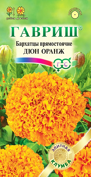 Семена Бархатцы Дюн Оранж прямостоячие.
Прямостоячий ветвистый куст высотой 30 см, диаметром 30 см. Соцветия оранжевые, махровые, диаметром 8-10 см. 
Светолюбивы, теплолюбивы, заморозков не переносят. Предпочитают плодородные легкие почвы. 
Для оформления бордюров, рабаток, вазонов и балконных ящиков.
