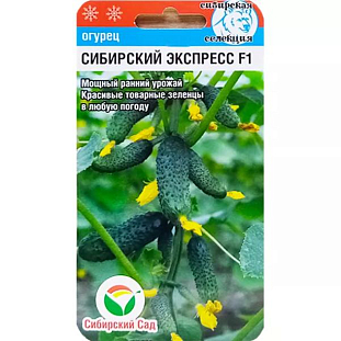 Семена Огурец Сибирский экспресс F1