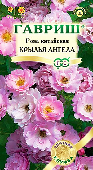 Семена Роза китайская Крылья ангела.
Привлекательная миниатюрная роза для выращивания из семян. Уже через 12 недель после получения всходов ее компактный кустик высотой 15-20 см нельзя будет узнать – он превратится в розовое «облачко». Мелкие, кожистые листочки закроются объемными соцветиями, состоящими из простых, махровых и полумахровых цветков. Как и все розы, сорт предпочитает теплые солнечные места на рыхлых плодородных почвах, ему необходимы регулярные поливы и подкормки, а на зиму – традиционное для роз укрытие. Розу легко вырастить из семян, которые высевают, присыпав тонким слоем почвы. Оптимальная температура для их прорастания – +18-20о С, всходы появляются через 20-30 дней. Мини-розы подходят для бордюров, композиций, патио - культуры.