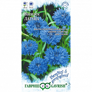 Семена Василек Лагуна