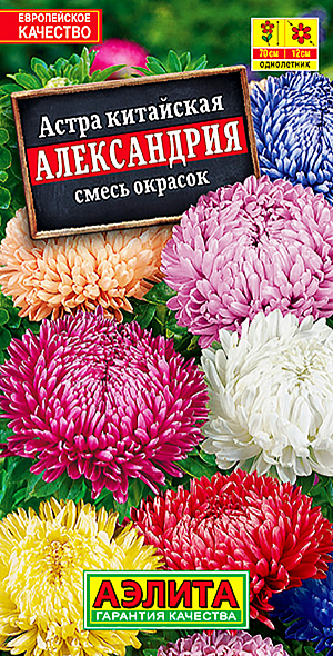 Семена Астра Александрия смесь окрасок. <br>
 Однолетник<br>
 Высота растения 70 см<br>
 Диаметр соцветия 12 см<br>
 <br>
 Прекрасный сорт универсального назначения. Крупные густомахровые соцветия Ø12 см на супердлинных, мощных стеблях идеальны для срезки. Красивый прочный куст 70 см высотой хорошо вписывается в сборные цветники в качестве растения среднего плана. Сорт отлично сочетается практически со всеми однолетниками позднелетнего и осеннего цветения, подходящими по размеру. Не жалейте цветы, срезайте для букета, это будет стимулировать появление новых.<br>
 <br>
Посев. Выращивают рассадным способом. С развитием первой пары настоящих листочков сеянцы пикируют. На постоянное место рассаду высаживают в возрасте 30-35 дней. Возможен посев семян в открытый грунт весной или под зиму, в конце октября. Растениям необходимы регулярные поливы, прополки, рыхления и подкормки