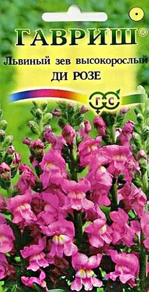 Семена Львиный зев (Антирринум) Ди Розе<br>
 <br>
 Великолепный крупноцветковый срезочный сорт.Декоративное растение из семейства Норичниковые, культивируемое как однолетник, высотой 70-90 см. Цветет с конца июня до поздних заморозков. Цветки  собраны в кистевидные соцветия светло-розовой окраски. Холодостоек, светолюбив, к почвам нетребователен, в засушливый период нуждается в поливе. Выращивают рассадным способом. Ипользуется для групповых посадок и цветников, а также для получения высококачественной срезки (львиный зев стоит в воде до двух недель).<br>