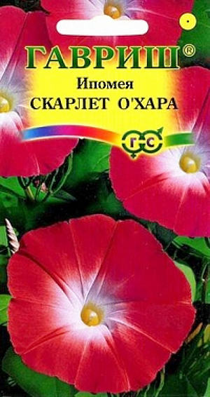 Семена Ипомея Скарлет Охара.
Вьющееся растение для вертикального озеленения из семейства Вьюнковые с побегами длиной до 2 м.
Цветение обильное, с конца июня до заморозков. Цветки воронковидные, крупные (7-10 см в диаметре), красной окраски. 
Светолюбива и теплолюбива, заморозков не переносит. Высевают в открытый грунт во второй половине мая.
Семена перед посевом желательно замачивать на сутки. 
Всходы появляются через 6-14 дней, расстояние между растениями должно составлять 25-35 см. 
Используется для озеленения балконов и ваз, создания вертикальных цветущих ширм.