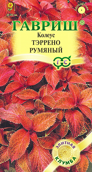 <div>
 Семена Колеус Тэррено румяный.
</div>
Это компактные хорошо облиственные растения высотой 30-35 см с небольшими бархатистыми листьями ярких контрастных оттенков. Серия подходит для профессионального и любительского озеленения, рекомендуется для оформления бордюров, посадки массивами в группе с другими низкорослыми однолетниками. Культура предпочитает солнечные или слегка притененные места с богатой, легкой, кисловатой почвой. В феврале семена высевают на рассаду в смесь из листовой, торфяной, дерновой земли и песка (1:1:1:1) и слегка присыпают песком. При температуре 20-22°С и постоянном увлажнении всходы появляются через 14-18 дней. Подросшие растения пикируют и прищипывают (высота сеянцев не менее 10 см) для лучшего ветвления. На постоянное место высаживают в июне. В открытом грунте колеус выращивают как однолетнее растение. Осенью кусты можно пересадить в горшочки и перенести в комнату.