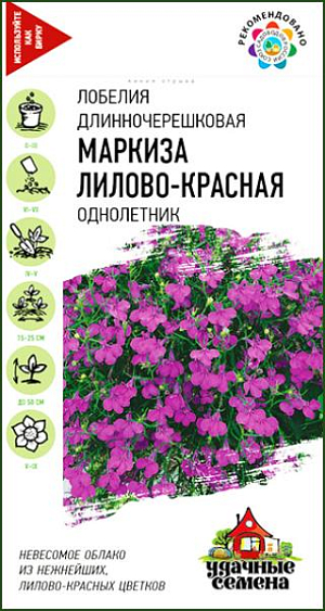 Семена Лобелия ампельная Маркиза лилово-красная <br>
 <br>
 Изящное растение с каскадной формой куста, с обильно цветущими, свешивающимися побегам. Цветки лилово-красные, до 2 см в диаметре, двугубые.  Цветет обильно, в течение всего сезона. Лобелия хороша в вазонах, балконных ящиках и висячих корзинах, ее высаживают в бордюры в качестве почвопокровного растения. Для большего кущения растения прищипывают.<br>