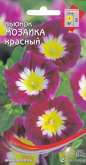 Низкорослое однолетнее растение с яркими цветами — граммофончиками. Высота 20 см. Можно выращивать на балконах, в вазонах. Хорошо смотрится в рабатках и на клумбах. Посев: в марте-апреле на рассаду. Всходы появляются через 10-14 дней при t=16-180С. Рассаду высаживают в грунт в конце мая. Расстояние между растениями 15-20см. Возможен прямой посев семенами в грунт в мае. Цветение: с конца июня по сентябрь.