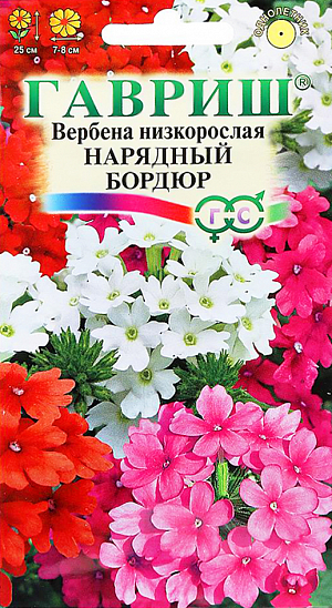 Семена Вербена низкорослая Нарядный Бордюр.
Растение высотой 25 см, культивируется, как однолетник (семейство Вербеновые). Цветет с июля по сентябрь. 
Цветки разнообразной окраски, собраны в соцветия диаметром 7-8 см, имеют приятный запах. 
Светолюбива и холодостойка, предпочитает рыхлые плодородные почвы. Выращивают рассадным способом. 
Семена высевают в конце марта - начале апреля. Всходы появляются через 10-20 дней. 
Рассаду высаживают в открытый грунт в середине мая на расстоянии 25 см. 
Используют для посадки на клумбах, рабатках, в группах, невысокие формы особенно хороши в бордюрах.