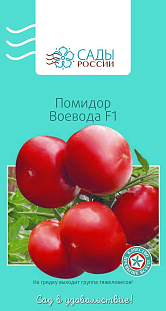 Семена Томат Воевода F1