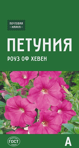 Семена Петуния многоцветковая Роуз оф хевен

Очаровательная компактная петуния. Образует плотные густоветвистые кустики, обильно покрытые цветками до 8 см в диаметре. Растение светолюбивое, засухоустойчивое, жаростойкое. Несмотря на кажущуюся хрупкость лепестков, хорошо переносит воздействие дождя и ветра, не теряя декоративности. Используется для посадки на клумбах, в кашпо и подвесных корзинах.