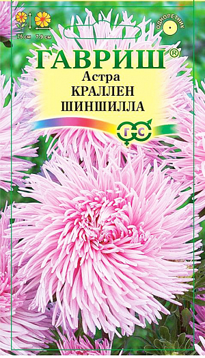 Семена Астра Краллен Шиншилла, однолетняя.
Относится к группе коготковых астр. Растение однолетнее, мощное, с пирамидальной формой куста и длинными цветоносами, высотой 75 см. Соцветия светло-розовые, оригинальной формы, крупные, 7-9 см в диаметре. Свернутые в трубку лепестки с легким изгибом внутрь, от периферии к центру закручиваются по спирали. Хорошо растет на освещенных, защищенных от ветра участках с дренируемой нейтральной или произвесткованной почвой. Оптимальная для прорастания семян температура почвы 20°C. Семена высевают в марте-апреле, пикируют с развитием первой пары настоящих листочков по схеме 5х5 см, в открытый грунт рассаду высаживают с середины мая до начала июня. Возможен подзимний посев астр в конце октября. Сверху посевы мульчируют торфом или опилками на высоту 3-5 см. Весной, в конце марта-начале апреля, посевы раскрывают Используется на срезку, в групповых посадках и цветниках.