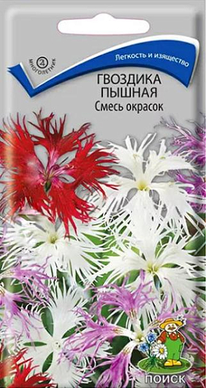 Семена&nbsp;Гвоздика Смесь окрасок пышная.&nbsp;Растение до 40 см. высотой. Листья в основном прикорневые, узкие, образуют розетку. Цветоносы одиночные. Цветки до 3 см. в диаметре, душистые. Края лепестков глубоко разрезанные на нитевидные доли. Цветет со второй половины июня 45-50 дней. Используется для срезки, в групповой посадке, бордюрах, клумбах, массивах, каменистых горках и на срезку.<br>
 <br>
&nbsp;Агротехника.&nbsp;Неприхотливое растение, предпочитает солнечное место, легкие плодородные почвы, полив без застоя воды. Посев производят в конце апреля – в начале мая непосредственно в грунт, семена слегка присыпают легкой землей, всходы появляются через 20-30 дней. Их прореживают, выдерживая расстояние между растениями 10-20 см.&nbsp;