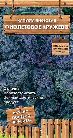 Семена Капуста листовая Фиолетовое кружево