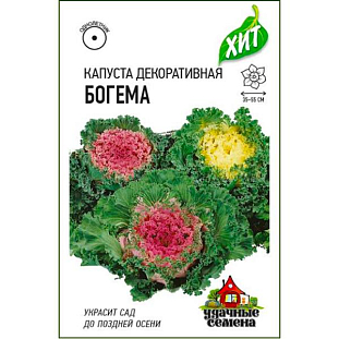 Капуста декоративная Богема Капуста декоративная Богема