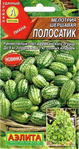 Семена Мелотрия Полосатик (Мышиная дыня)