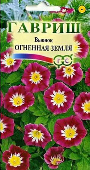 Семена Вьюнок трехцветный Огненная земля&nbsp;<br>
 <br>
 Неприхотливое однолетнее травянистое, густоветвистое растение семейства Вьюнковые, 35-50 см высотой, со стелющимися и приподнимающимися побегами. Разрастаясь, образует густоветвистый кустик до 40-50 см в диаметре.Холодостойкое, светолюбивое. Цветки многочисленные, красные, до 4 см в диаметре, расположены в пазухах листьев, на ночь закрываются. Цветет обильно с июля по сентябрь. Высевают в марте на рассаду или в середине апреля-начале мая в открытый грунт. Используют в рабатках, на клумбах, каменистых горках, для озеленения балконов и ваз.&nbsp;Для получения объемного растения необходимо многократное прищипывание.<br>
