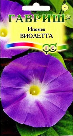 Семена Ипомея Виолетта<br>
 <br>
 Вьющееся и интенсивно растущее однолетнее растение семейства Вьюнковые. Побеги длиной до 2 м, быстро обвивают опору. Цветение обильное, с конца июня до заморозков. Цветки пурпурные, воронковидные, привлекают внимание крупным размером – до 7-10 см в диаметре. Светолюбива и теплолюбива, не переносит заморозков, предпочитает хорошо дренированные, плодородные почвы и регулярный полив. Высевают в открытый грунт во второй половине мая. Семена перед посевом желательно замачивать на сутки. При температуре почвы 180С всходы появляются через 6-14 дней. Используется для декорирования лоджий, балконов,пергол, беседок,опорных стенок и строений в саду.<br>