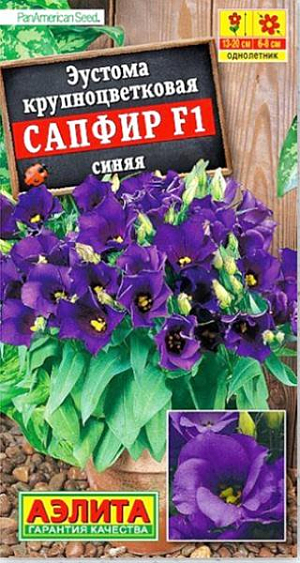 Семена&nbsp;Эустома Сапфир синяя F1.&nbsp;<br>
 Эустома (лизиантус) известна многим как цветок для срезки, как прелестная конкурентка розам. Изысканное растение можно вырастить в горшке на подоконнике или балконе. Растения густые, многостебельные, высотой 13-20 см. На пышном кустике масса открытых и закрытых бутонов. Поочередно распускаясь, они создают эффект непрерывного цветения. В благоприятных условиях гибрид цветет 4-5 месяцев. В летние месяцы можно держать растение на свежем воздухе, в легкой тени. Для одного растения требуется горшок&nbsp; диаметром 10 см.<br>
 <br>
Семена в гранулах! Гранулы располагают на поверхности почвы, не заделывая их, хорошо увлажняют из распылителя. При попадании влаги на гранулу оболочка должна раствориться. Посевы накрывают стеклом для сохранения постоянной влажности до полных всходов. Февральским посевам требуется досветка.