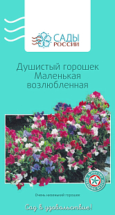 Семена Душистый горошек Маленькая возлюбленная