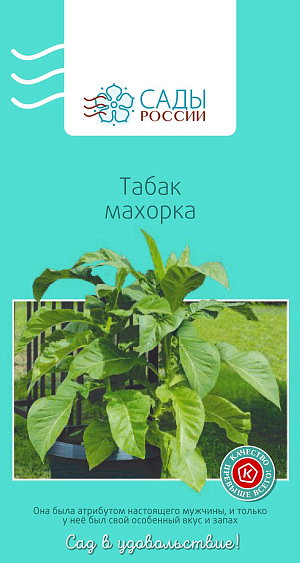 Табак махорка

Первыми эту культуру начали возделывать американские индейцы. А после открытия Америки Колумбом мода на табак распространилась по всему миру. В наши дни найти махорку не очень-то и легко, поэтому мы решили дать возможность желающим прикоснуться к истории, ведь именно махорку курили солдаты во время Отечественной войны. Секретов выращивания у этой культуры не больше, чем у овощей. Поэтому получить качественный табак можно и на своем садовом участке. Растение теплолюбивое, поэтому в регионах с умеренным климатом его лучше выращивать через рассаду и высаживать на грядки с укрытием. Тогда махорка успеет вырасти и дать урожай.