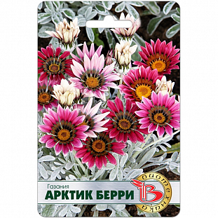 Семена Газания Арктик Берри