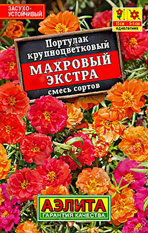 Семена&nbsp;Портулак махровый Экстра.&nbsp;Низкорослый летник, украшенный россыпью атласных цветков с июня до заморозков. Неприхотливый, засухоустойчивый, болезнями и вредителями не поражается. Идеален для бордюров и садовых контейнеров.