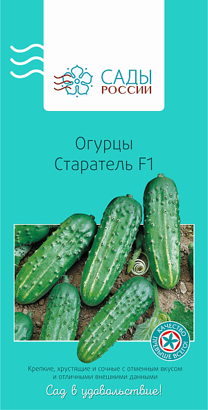 Семена Огурец Старатель F1
