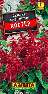 Сальвия Костер Сальвия Костер