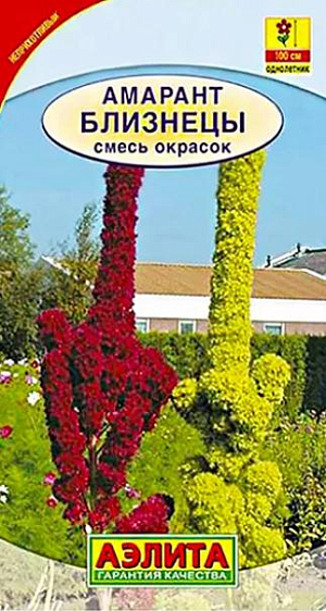 Семена Амарант Близнецы.&nbsp;Смесь включает две расцветки амаранта с прямостоячим метельчатыми соцветиями. Соцветия узкие, напоминают стройные башни или пики. Растения быстрорастущие, крепкие, мощные, высотой около 1 м. Неприхотливые, очень пластичные – выдерживают широкий диапазон условий выращивания. Используются группами в центре клумб, в высоких бордюрах, для декорирования стен и изгородей, на заднем плане смешанных цветников, в декоративных огородах. Соцветия пригодны для срезки в букеты, в т. ч. зимние. Высушенные соцветия не теряют яркость окраски несколько лет.