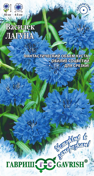 Семена Василек Лагуна.
Однолетнее растение из семейства Астровые высотой 60 см. Растение стройное, ветвистое, с многочисленными цветоносами. 
Соцветия махровые, ярко-синие, 4-5 смв диаметре. Сорт срезочный, обильно и продолжительно цветущий с июня до заморозков. 
Василек холодостоек, нетребователен к почвам, светолюбив. Размножается прямым посевом в грунт в апреле-мае или под зиму. 
При весеннем посеве семена необходимо стратифицировать при температуре +10 С. Посев проводят поверхностно, не заглубляя. 
Для большей кустистости растения прищипывают. Используется для посадки на клумбах, в группах, а также для получения срезки.