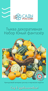 Тыква декоративная Набор Юный фантазер Тыква декоративная Набор Юный фантазер