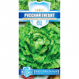 Семена Салат Русский богатырь