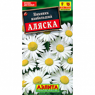 Нивяник наибольший Аляска