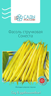 Семена Фасоль Сонеста