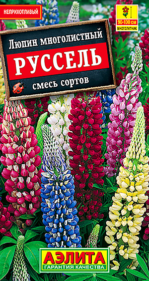 Семена Люпин Руссель смесь окрасок.
Популярное многолетнее травянистое растение с эффектными кистевидными соцветиями длиной 30-40 см. Кусты прямостоячие, высотой 100-130 см, с прямыми длинными цветоносами. Люпины неприхотливые, зимостойкие, засухоустойчивые. Лучшего развития достигают на открытом солнце, но выносят легкую полутень. Хорошо обогащают почву азотом. Используются в групповых и одиночных посадках в миксбордерах. Подходят для срезки. 
Агротехника. Посев в грунт на постоянное место в самые ранние сроки в апреле, как только позволит почва, или под зиму в конце октября. Глубина заделки семян 2-3 см. Зацветает в конце мая-июне следующего года. Можно посеять под зиму, в конце октября – начале ноября. Растениям необходимы регулярные поливы, прополки, рыхления и подкормки.