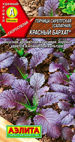 Семена Горчица салатная Красный бархат