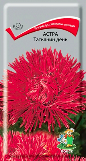 Семена Астра Татьянин день. Крупные лучевые густомахровые соцветия. Куст высотой 60-65 см. Соцветия красно-сиреневые, диаметром 11-12 см. На растении формируется 10-14 соцветий. Цветёт август-октябрь. Используют очень широко: для посадки в сборные цветники группами, на рабатки - рядами и для срезки.<br>
 <br>
 <br>
 Растение предпочитает открытое солнечное место, но выносит и полутень. Лучше растет на легких, плодородных почвах. Не переносит внесения  органических удобрений в год посадки. Семена высевают с середины февраля по апрель. Глубина заделки семян 0,5 см. При температуре почвы +20<sup>0</sup>C всходы появляются на 7-14 день. Через 3-4 недели посевы пикируют  и выращивают при температуре +12-15<sup>0</sup>C. В грунт рассаду высаживают во второй половине мая, расстояние между растениями 20-30 см.<br>