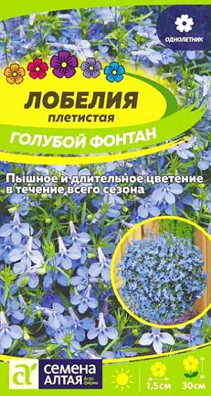 Семена Лобелия плетистая Голубой Фонтан<br>
 <br>
 Очаровательное растение для подвесных корзин и контейнеров, выращиваемое в однолетней культуре. Распростёртые или свисающие побеги, длиной до 30 см, обильно усыпаны мелкими, 1,5 см диаметром, голубыми цветками причудливой формы, расположенными в пазухах листочков. Чудесно смотрится в подвесных корзинах, балконных ящиках, вазонах, мини-альпинариях. Светолюбивое, теневыносливое и влаголюбивое растение, достаточно холодостойкое. Наибольшей декоративности достигает на открытых солнечных участках с хорошо дренированными супесчаными и суглинистыми почвами средней влажности без избытка органики (иначе цветение будет слабым). Посевы на рассаду проводят в феврале.&nbsp;<br>