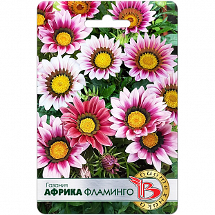 Семена Газания Африка Фламинго