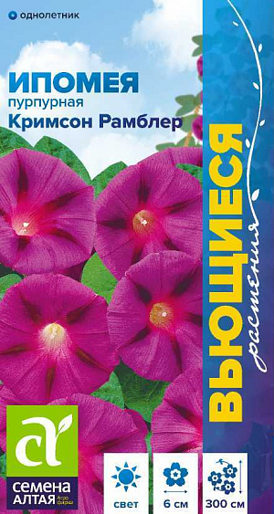 Ипомея Кримсон Рамблер

Однолетняя травянистая быстрорастущая лиана, достигающая в длину 2,5-3,0 м. Одно из лучших растений для вертикального озеленения. На фоне сочной зелени щитовидных листьев контрастно и очень эффектно смотрятся яркие крупные, до 6 см диаметром, воронковидные по форме карминно-красные цветки с нечетким звездчатым рисунком. Перед посевом семена замачивают на 2-3 часа в горячей воде (до +50ºС) для набухания. В открытый грунт на постоянное место рассаду высаживают в конце мая - начале июня. Посевы в открытый грунт проводят во второй половине мая по 2-3 семечка в лунку, глубина заделки семян 0,5-1 см. Посадочный интервал – 25-30 см. При температуре воздуха +18-20°С всходы появляются через 14-18 дней. Цветение с июля до заморозков. Для продолжительного и обильного цветения увядшие цветки рекомендуется удалять.