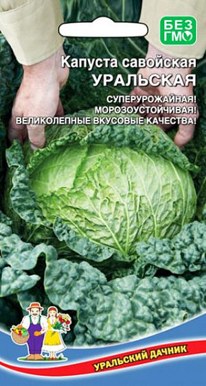 Семена Капуста савойская Уральская