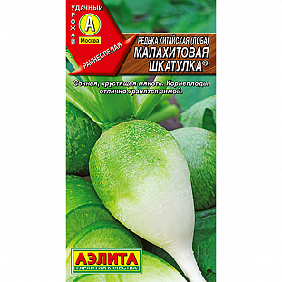 Семена Редька Малахитовая шкатулка китайская