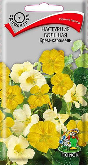 Семена&nbsp;Настурция Большая Крем-карамель.&nbsp;Обилие цветов.&nbsp;Полу стелющиеся побеги длиной до 1,5 м. Смесь состоит из кремово-белой и желтой окраски. Шпорцы длинные, чуть изогнутые. Цветет обильно с июня до заморозков. Используют для вертикального озеленения, балконных ящиков.<br>
 <br>
 &nbsp;Агротехника.&nbsp;Растение предпочитает солнечные или слегка затененные места, умеренно плодородные и влажные почвы.<br>
Семена высевают в мае прямо в открытый грунт, в лунки по три семени. Глубина заделки 2 см. При температуре почвы +20°C всходы появляются на 14-20 день. Расстояние между растениями 20-30 см.